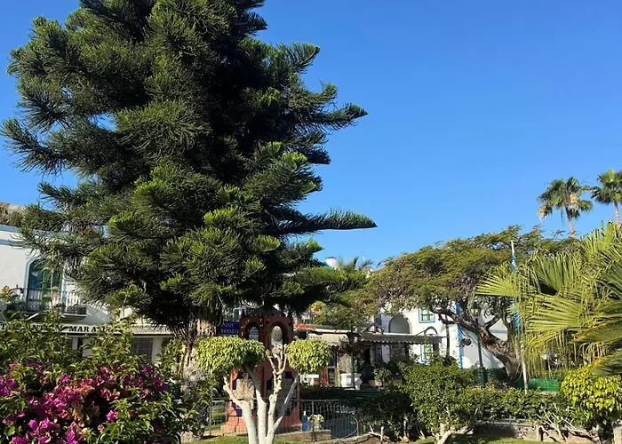 Yate Rock & Roll Bådhotel Puerto De Mogan